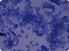剥離の多い角質細胞の染色画像